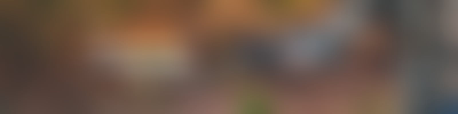 Taurus Raging Hunter .350 Legend