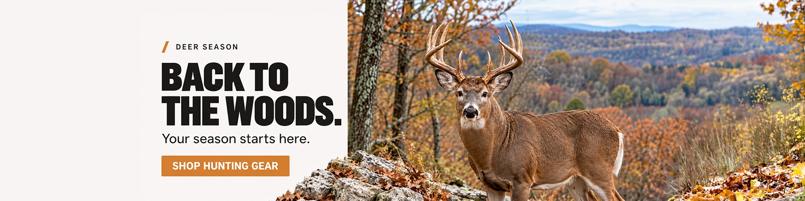 Hunting Season
