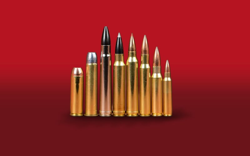 Shop ammo at KYGUNCO