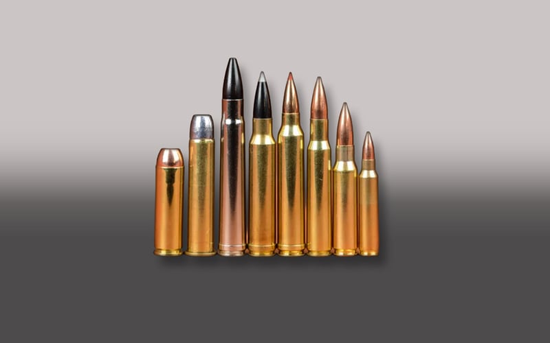 Shop ammo at KYGUNCO