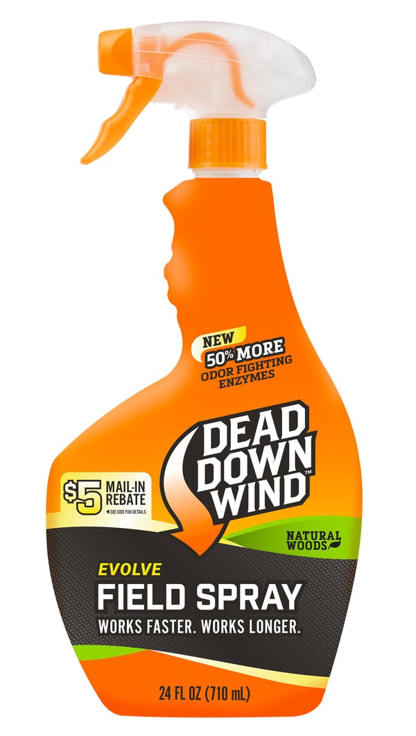 Main product image