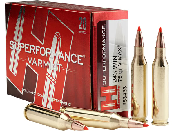 Main product image
