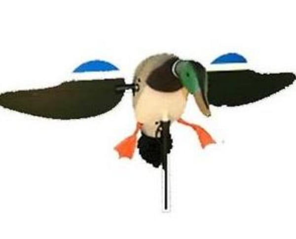 Main product image