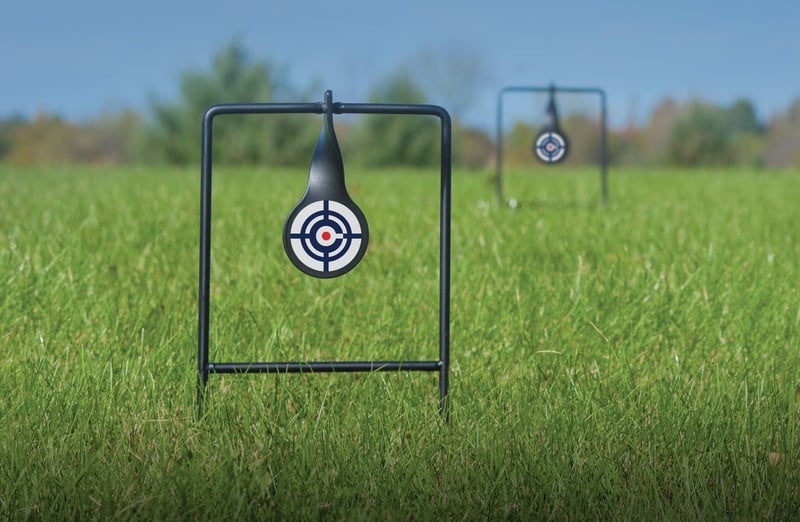 Target Spinning Wheel CROSMAN Dual Target Pack 2 Pk of Metal Spinning Targets | KYGUNCO