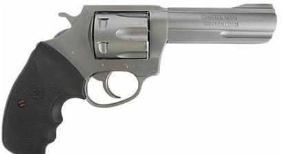 CHARTER ARMS Police Bulldog S/S Fixed 4IN 6 - DNB | KYGUNCO