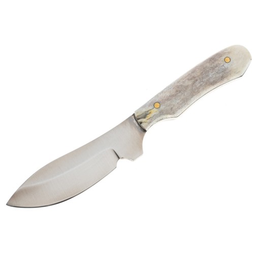 SILVER STAG Whitetail Caper 2.75" Fixed Blade Knife + Antler Handle for sale at KYGUNCO.
