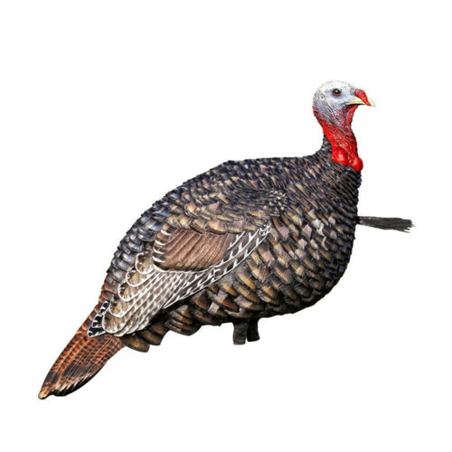 AVIAN-X LCD Jake Quarter Strut Decoy for sale at KYGUNCO.