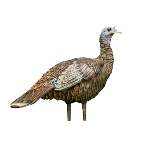 AVIAN-X LCD Lookout Turkey Decoy for sale at KYGUNCO.