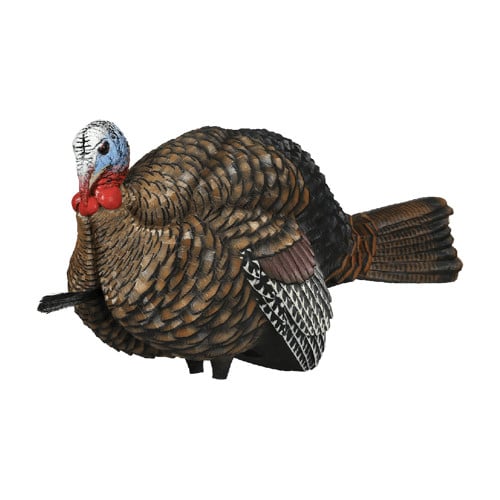 AVIAN-X Half Strut Jake Turkey Decoy for sale at KYGUNCO.