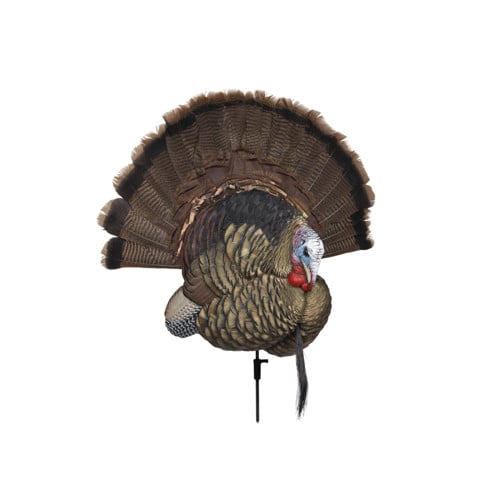 AVIAN-X Trophy Tom Turkey Decoy for sale at KYGUNCO.