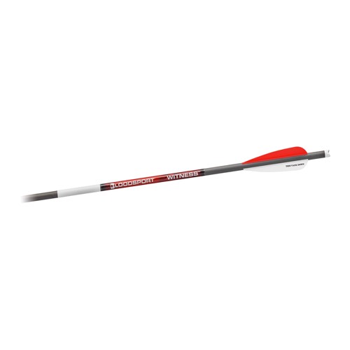 BLOODSPORT Witness 20" Crossbow Bolts w/Vanes w/Moon Nock for sale at KYGUNCO.