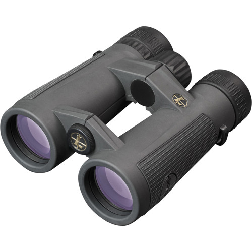 LEUPOLD BX-5 SAntiam HD 8x42mm Gray for sale at KYGUNCO.