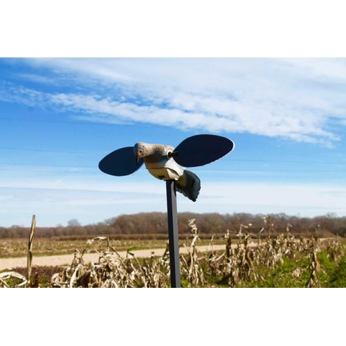 MOJO OUTDOORS Elite Series Dove Spinning Decoy for sale at KYGUNCO.