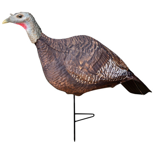 PRIMOS Photoform Hen Turkey Decoy for sale at KYGUNCO.