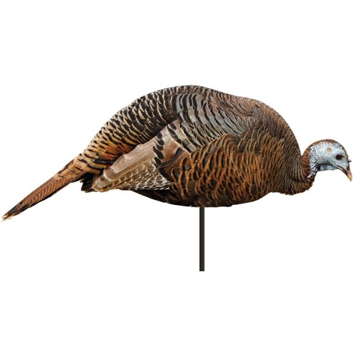MONTANA DECOY Dinner Belle Hen Decoy for sale at KYGUNCO.