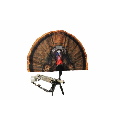 MOJO OUTDOORS Tail Chaser Max Redesigned for sale at KYGUNCO.