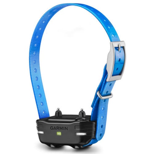 GARMIN PT 10, Blue Collar for sale at KYGUNCO.