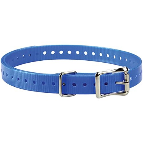 GARMIN Collar, 3/4" Square Buckle Collar Strap (Blue) for sale at KYGUNCO.