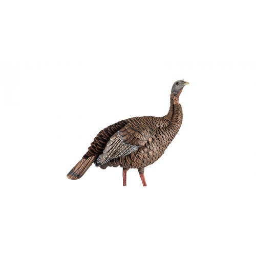 AVIAN-X HDR Hen Decoy for sale at KYGUNCO.