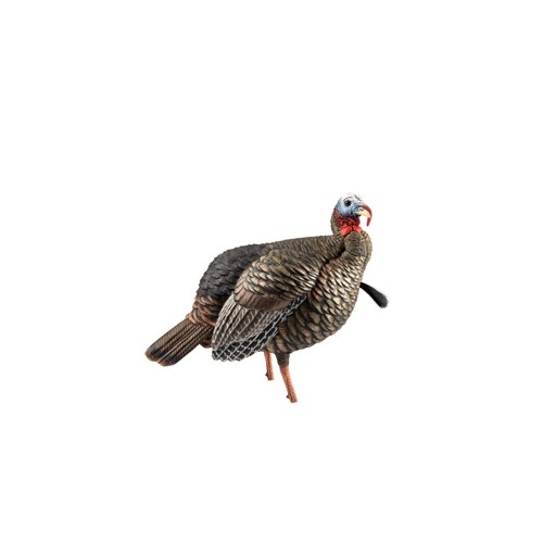 AVIAN-X HDR Jake Decoy for sale at KYGUNCO.