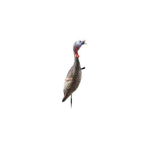 FLEXTONE Funky Chicken Gen 2 for sale at KYGUNCO.