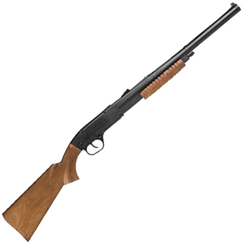 DAISY AIRGUNS Model 12 Youth Pump Rifle for sale at KYGUNCO.