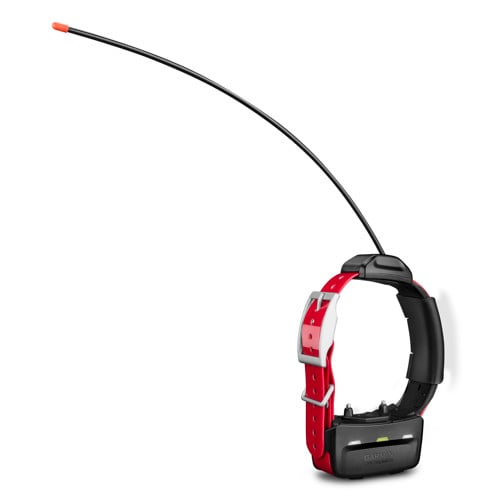 GARMIN TT15x GPS Collar for sale at KYGUNCO.