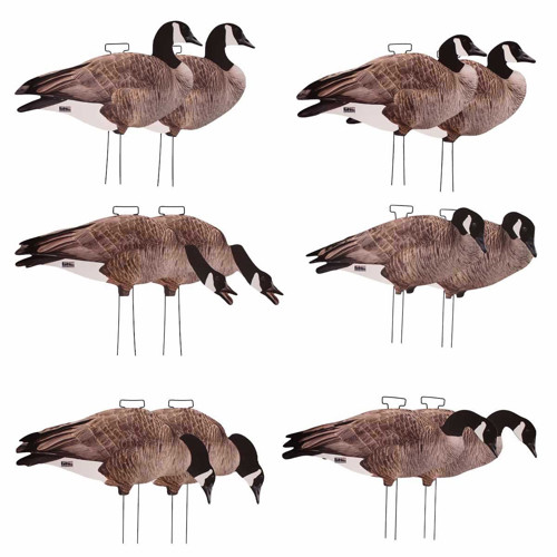 AVERY PG Canada Goose Silhouette Decoys - 12 Pack for sale at KYGUNCO.