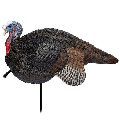 PRIMOS Lil' Gobbstopper Jake Turkey Decoy for sale at KYGUNCO.
