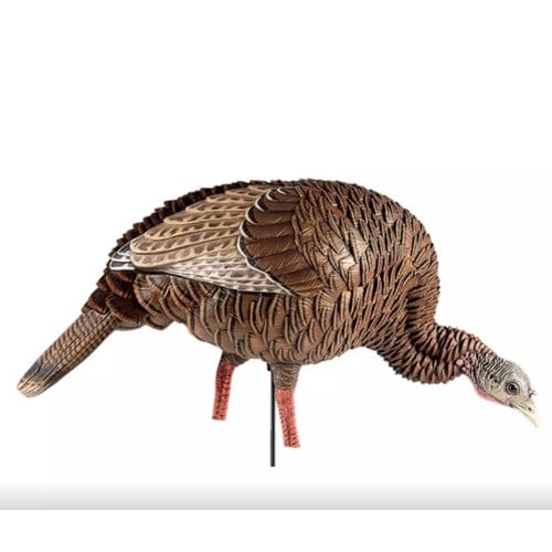 AVIAN-X HDR Feeding Hen Turkey Decoy for sale at KYGUNCO.