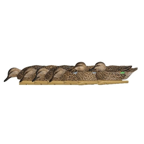 AVIAN-X Top Flight Early Season Teal for sale at KYGUNCO.
