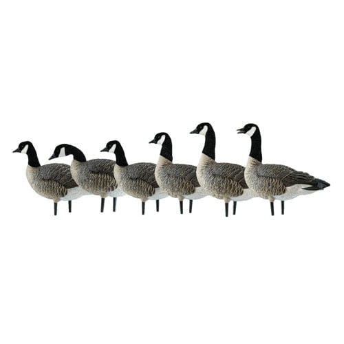 AVIAN-X AXP Lessers: Active Pack for sale at KYGUNCO.