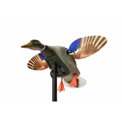 MOJO OUTDOORS Mini Mallard Drake for sale at KYGUNCO.