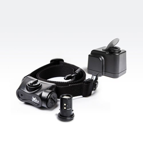 DT SYSTEMS No Bark Dog Training System w Rechargeable Battery for sale at KYGUNCO.