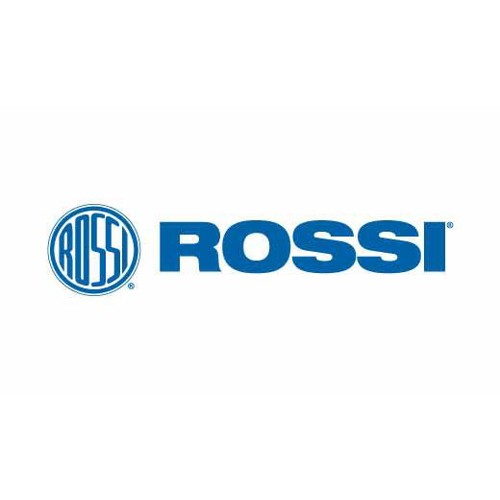 ROSSI Gallery 22 LR 18in Black 15rd for sale at KYGUNCO.