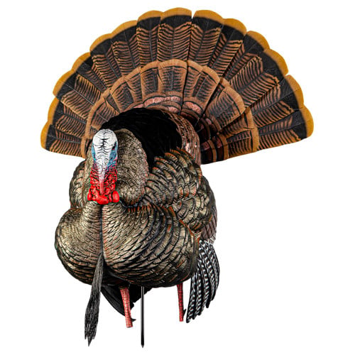 AVIAN-X HDR Strutter Turkey Decoy for sale at KYGUNCO.