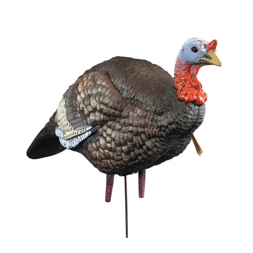 HIGDON Hard Body 1/4 Strut Jake Turkey Decoy for sale at KYGUNCO.