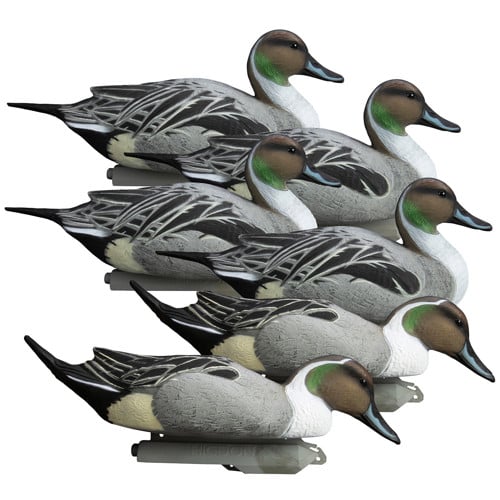 HIGDON Battleship Pintail Foam Filled Decoys 6pk for sale at KYGUNCO.