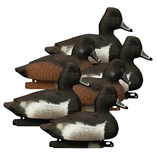 HIGDON Standard Ringneck Foam Filled Decoys 6pk for sale at KYGUNCO.