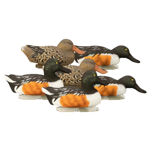 HIGDON Standard Shoveler Foam Filled Decoys 6pk for sale at KYGUNCO.