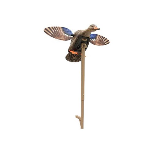 MOJO Outdoors Elite Series Mallard Hen Decoy for sale at KYGUNCO.