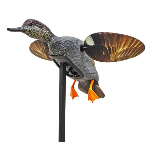 MOJO OUTDOORS Elite Series Gadwall Duck Decoy for sale at KYGUNCO.