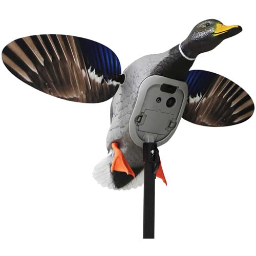 MOJO OUTDOORS Elite Mallard Decoy for sale at KYGUNCO.