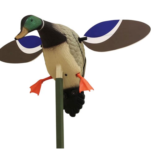 MOJO OUTDOORS Baby Mojo Drake Mallard Decoy for sale at KYGUNCO.