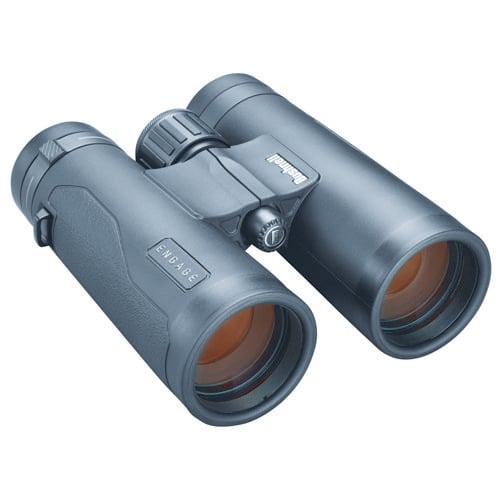 BUSHNELL Engage EDX 8x 42mm BaK4 Roof Prism Black Magnesium for sale at KYGUNCO.