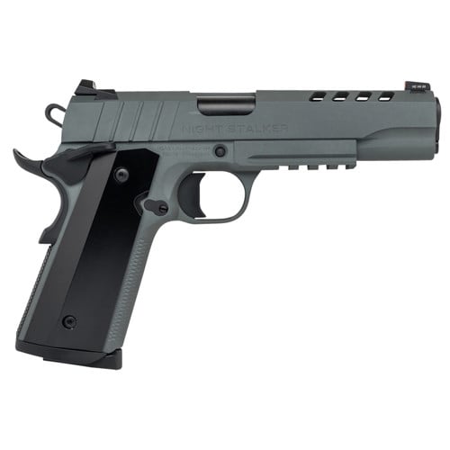 TISAS 1911 Night Stalker 10mm 5" 8rd Pistol w/ Night Sights | Platinum Grey for sale at KYGUNCO.