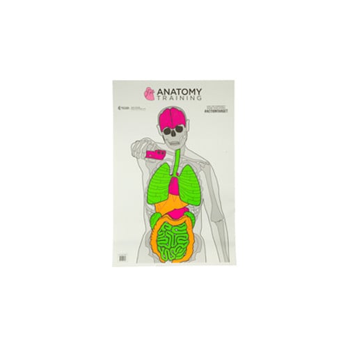 ACTION TARGET Entertainment Training Vitals Target 23x35 100pk for sale at KYGUNCO.