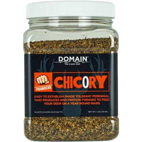 DOMAIN OUTDOORS Pounder - Chicory 1/8 Acre Perennial 1 lb for sale at KYGUNCO.