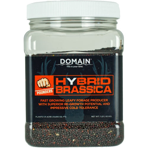 DOMAIN OUTDOORS Pounder - Hy. Brassica 1/4 Acre Annual 1 lb for sale at KYGUNCO.