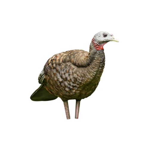 AVIAN-X LCD Breeder Turkey Decoy for sale at KYGUNCO.